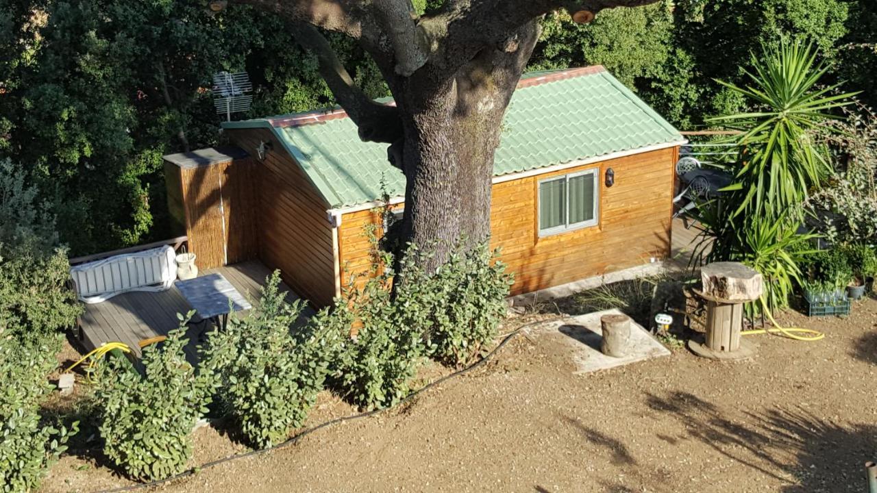 Le Petit Chalet 포르티씨오 외부 사진