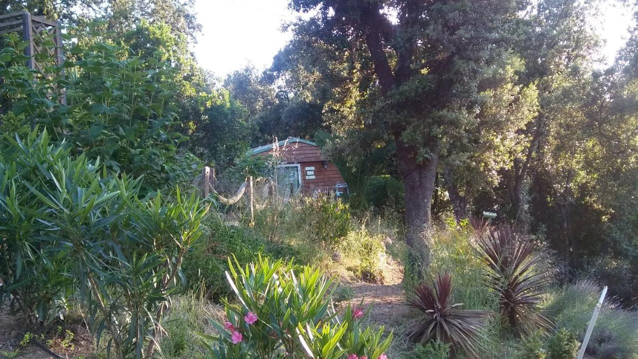 Le Petit Chalet 포르티씨오 외부 사진
